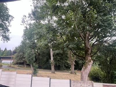 Picture 15